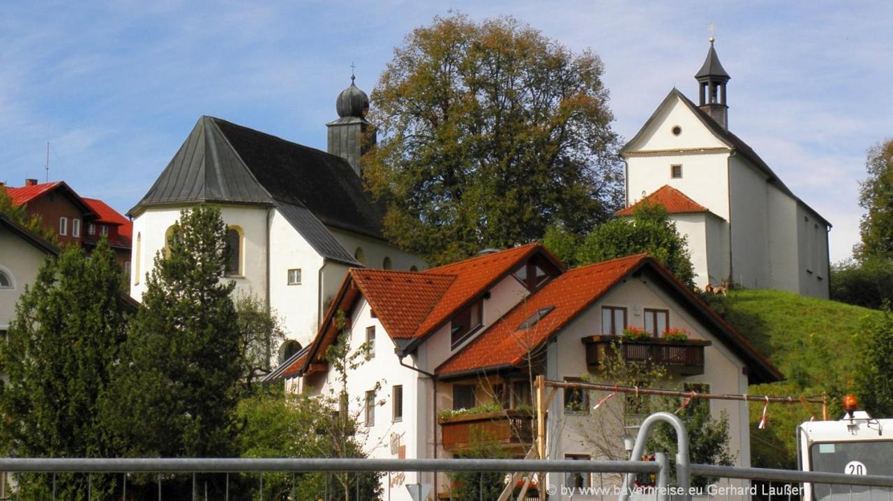 Ferienwohnung Mit Sauna Am Alpsee 阿尔卑斯湖畔比尔 外观 照片
