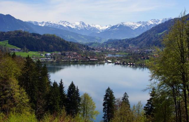 Ferienwohnung Mit Sauna Am Alpsee 阿尔卑斯湖畔比尔 外观 照片