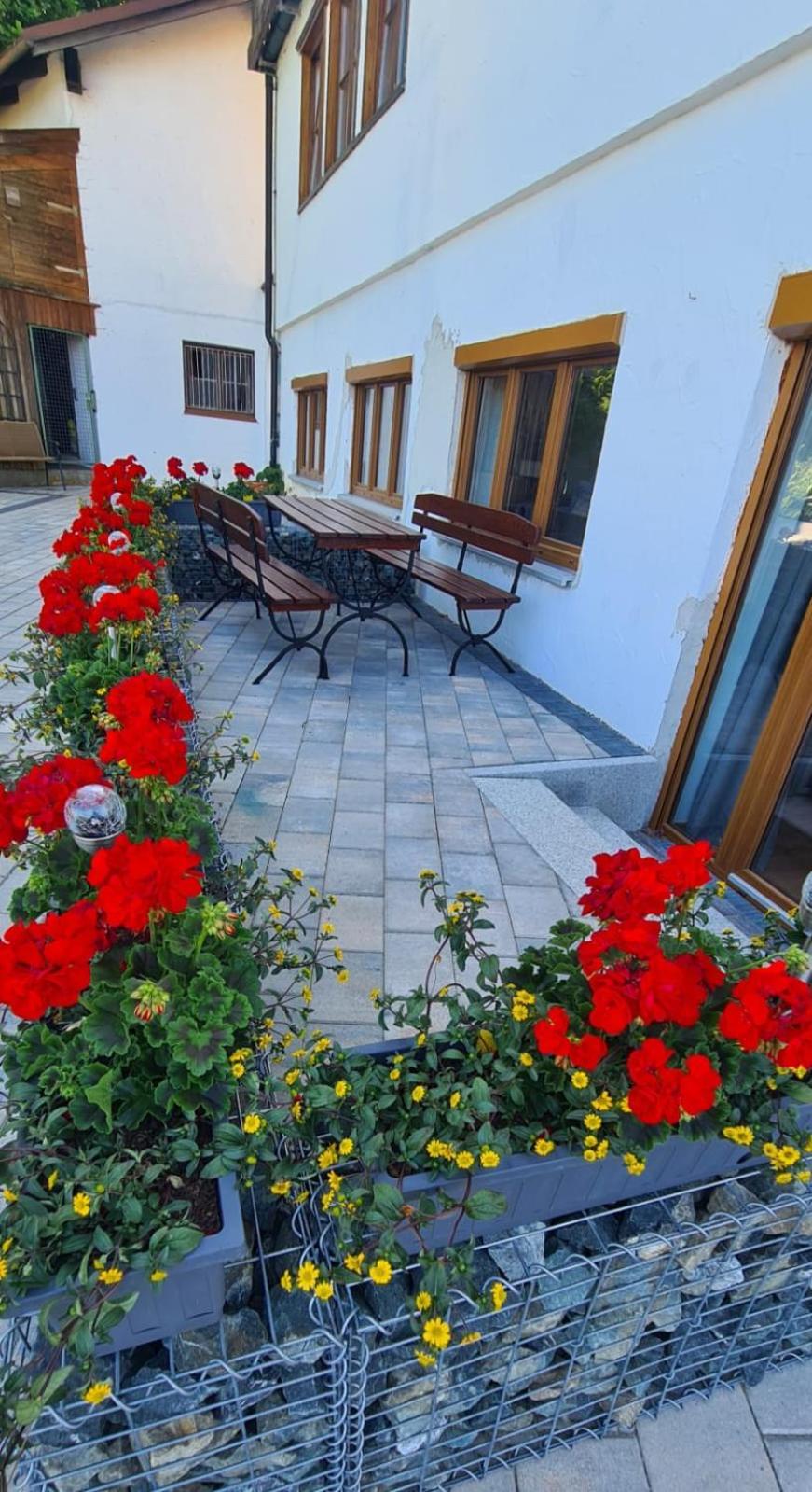 Ferienwohnung Mit Sauna Am Alpsee 阿尔卑斯湖畔比尔 外观 照片